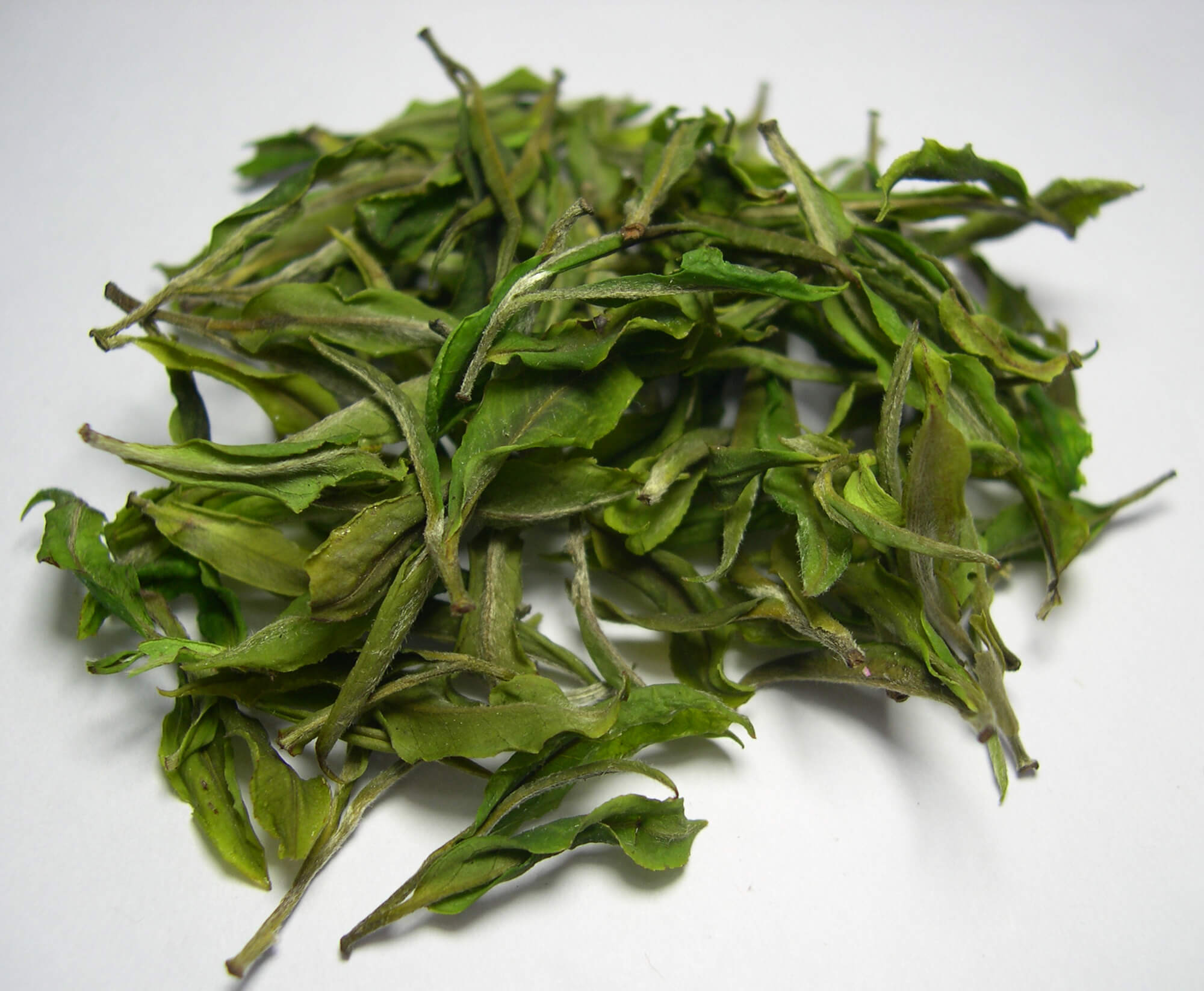 darjeeling green tea
